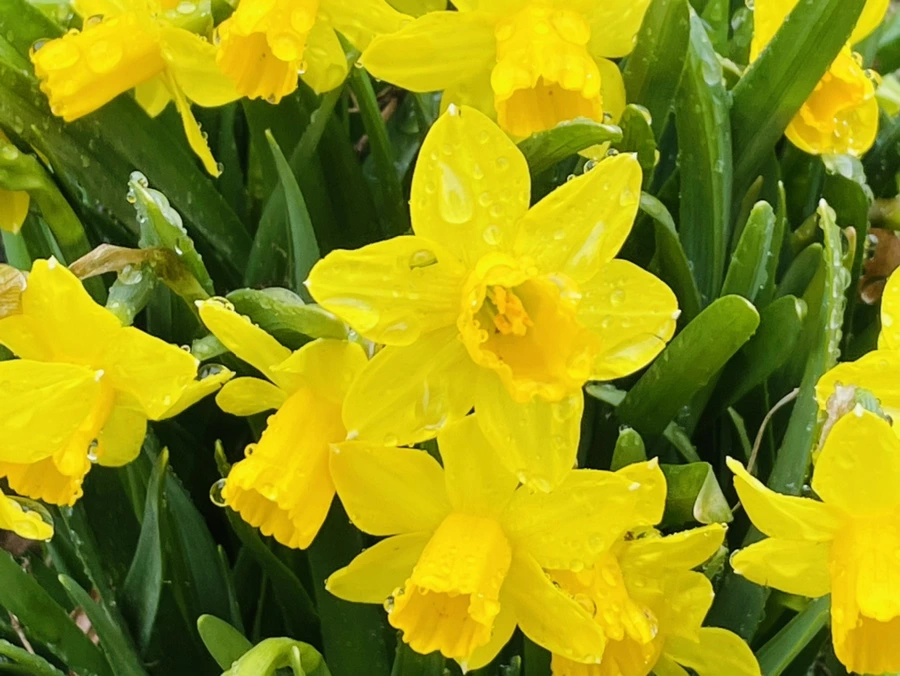 IMG_5678.jpg?type=w966