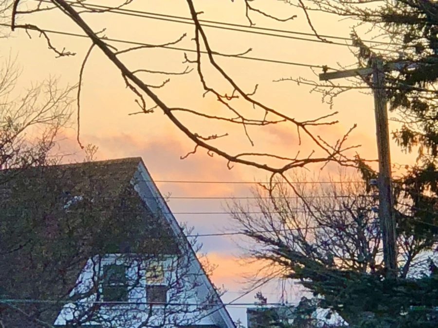 IMG_3057.jpg?type=w966