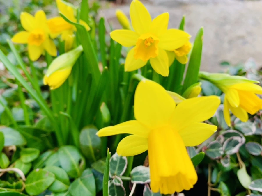 IMG_3197.jpg?type=w966