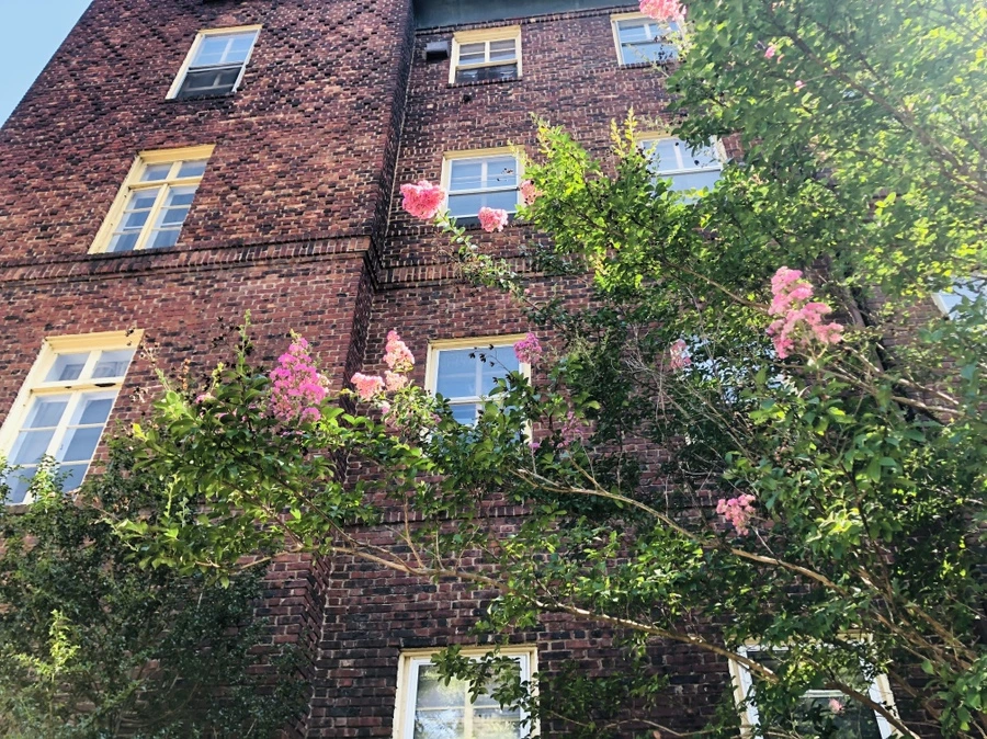 IMG_4846.jpg?type=w966