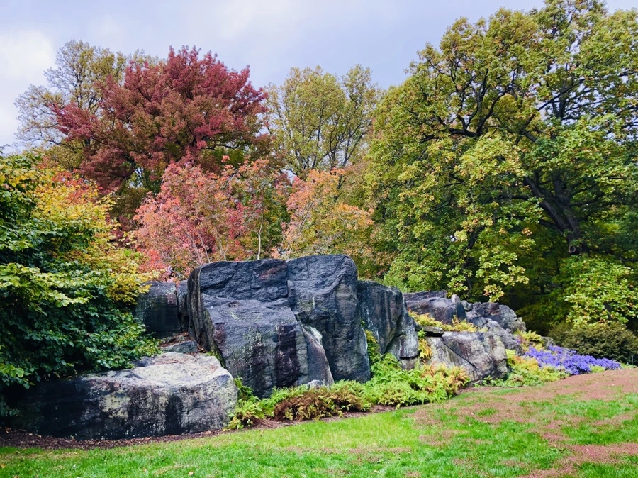 IMG_2283.jpg?type=w966