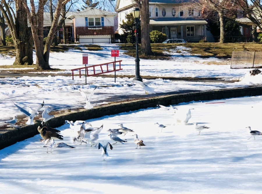 IMG_4798.jpg?type=w966