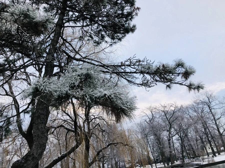 IMG_4516.jpg?type=w966