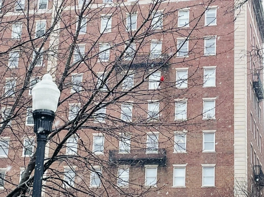 IMG_0411.jpg?type=w966