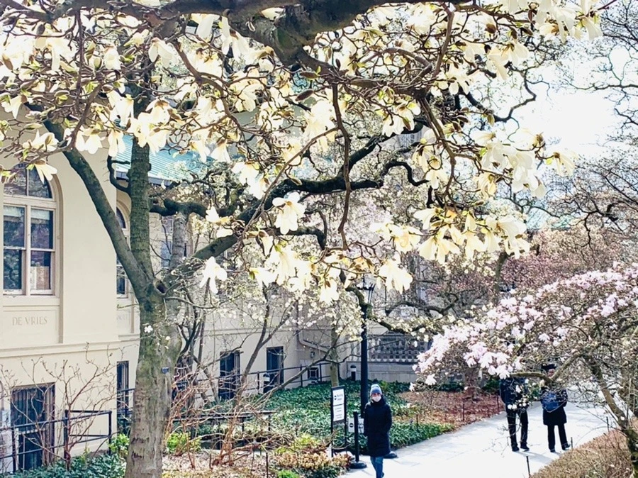 3Hw84o5eLQT3AR-Pb5hVIMYMRuc