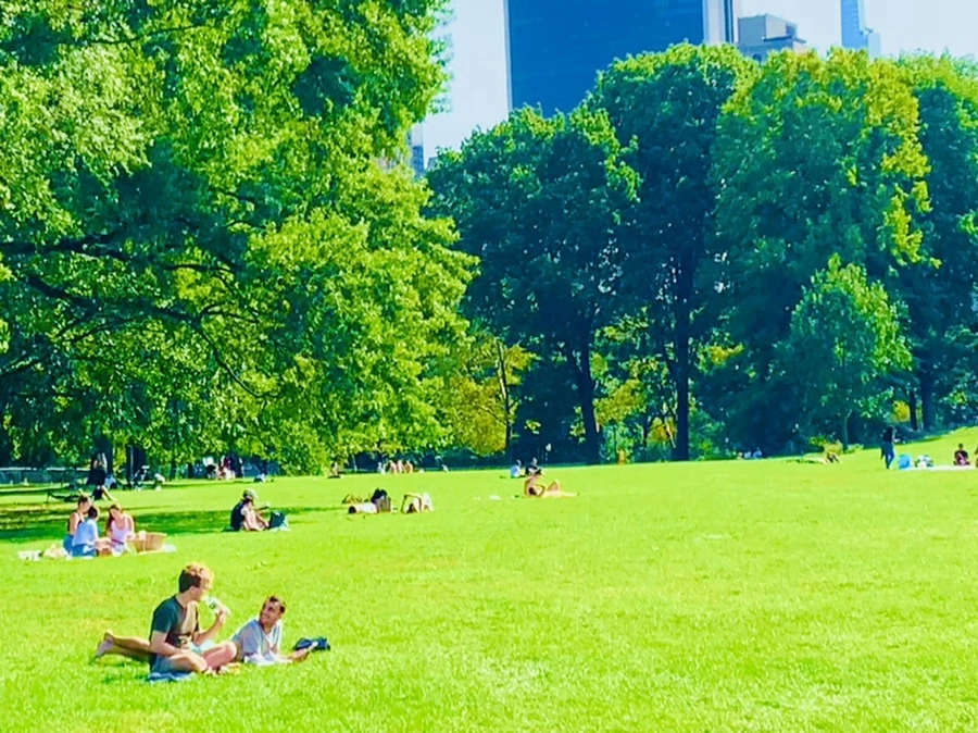 IMG_9683.jpg?type=w966