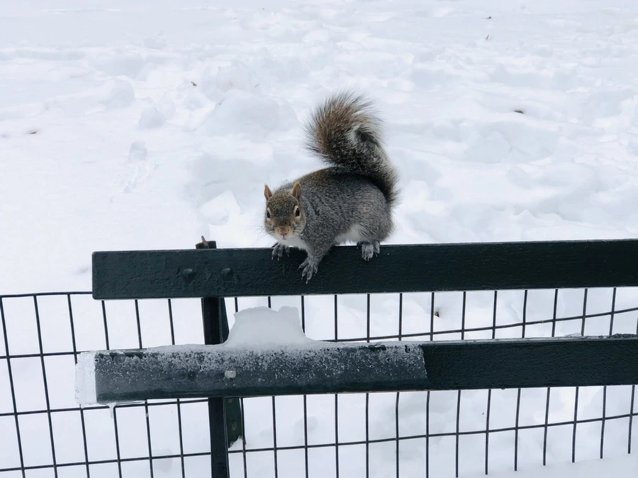 IMG_9122.jpg?type=w966