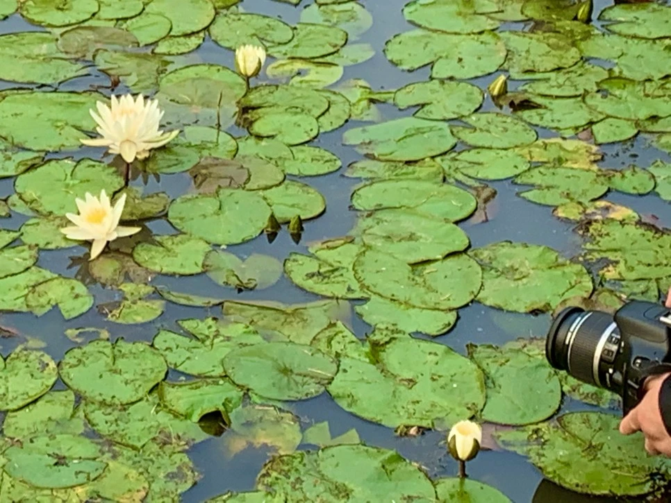 IMG_8632.jpg?type=w966