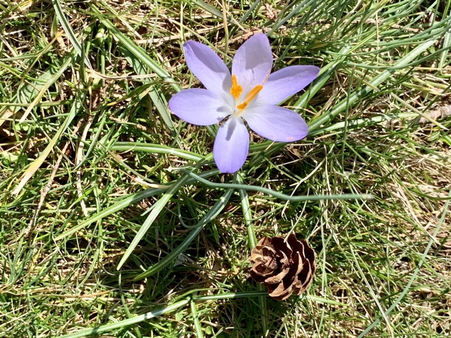 IMG_9234.jpg?type=w966