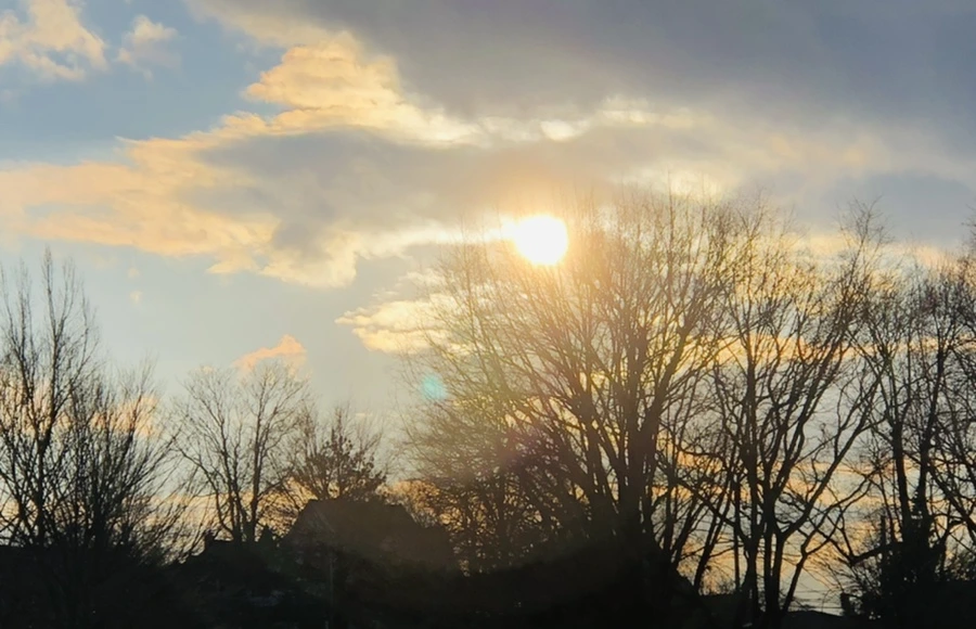 IMG_4411.jpg?type=w966