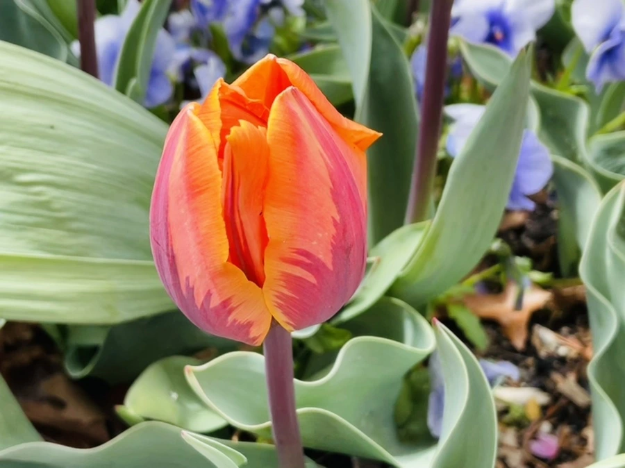 IMG_1417.jpg?type=w966