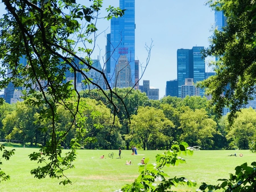 019ReLIkGpf6muEcyCyq9BdwSFo