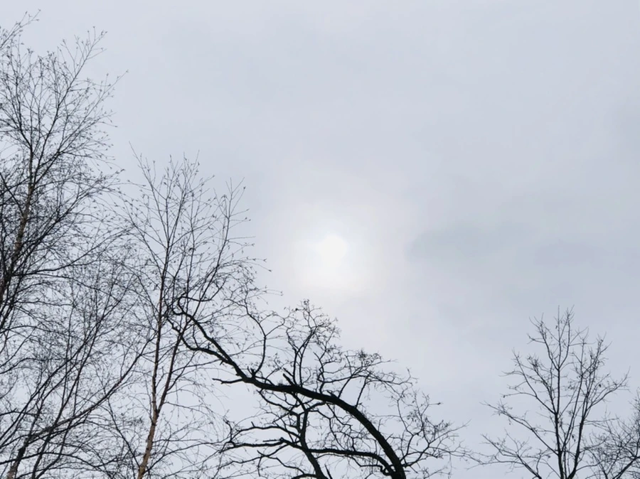 IMG_4400.jpg?type=w966