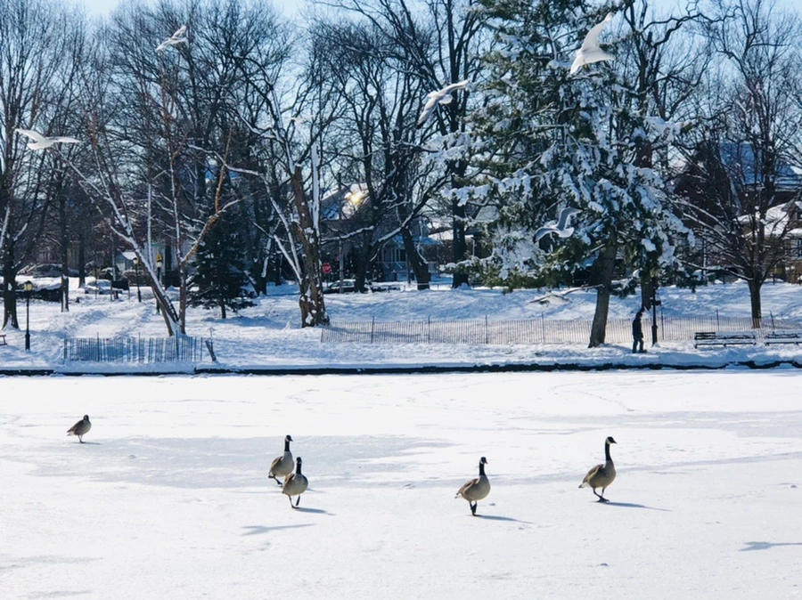 IMG_1321.jpg?type=w966