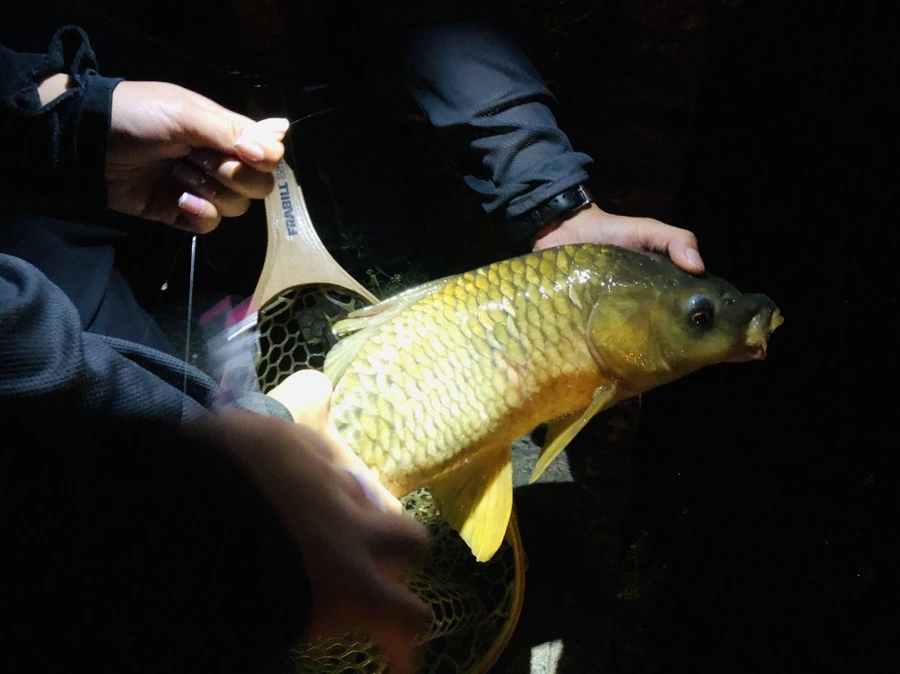 IMG_3366.jpg?type=w966