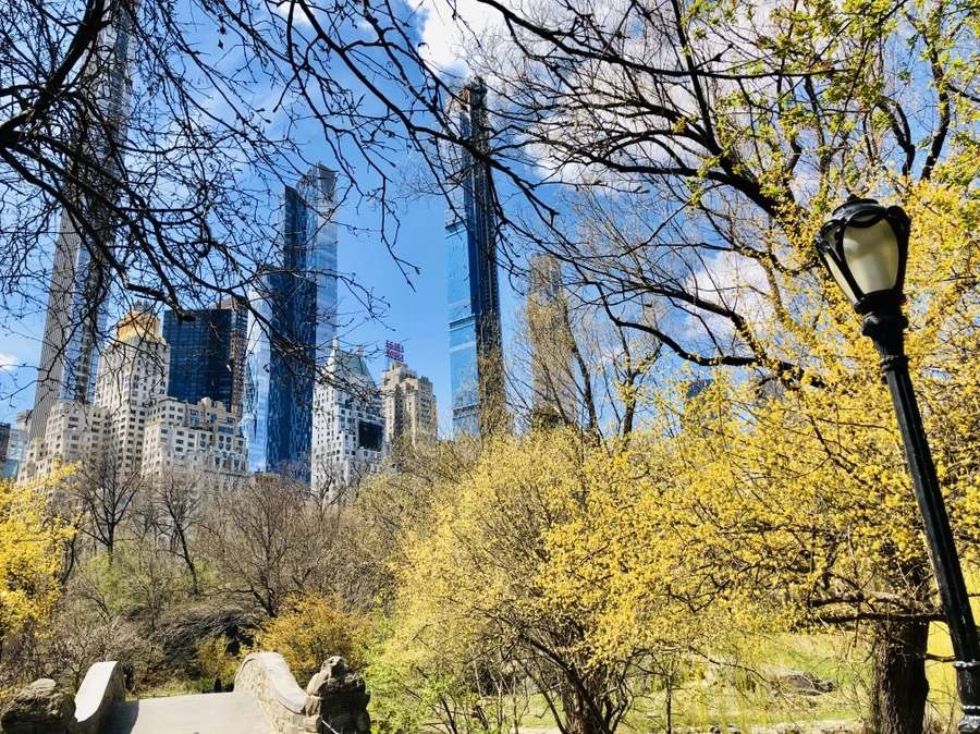 IMG_6781.jpg?type=w966