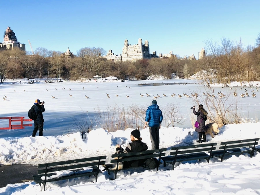 IMG_9859.jpg?type=w966