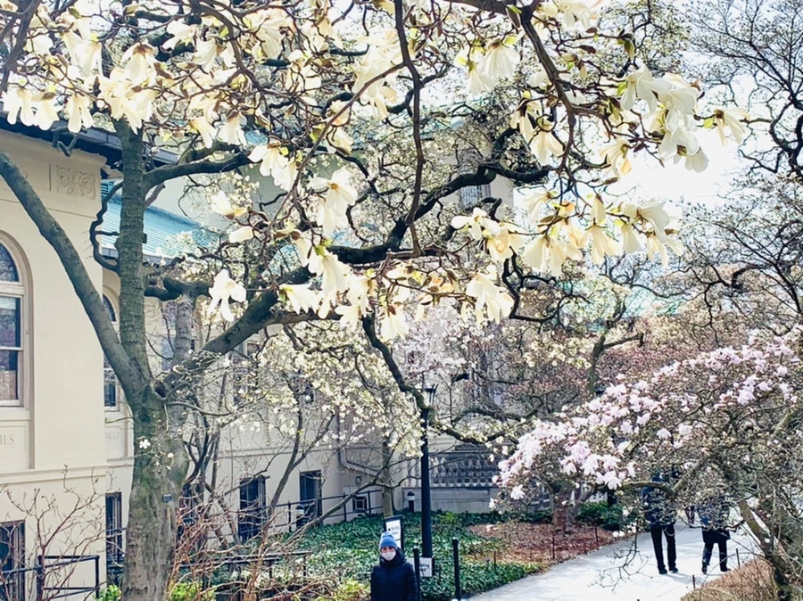 IMG_6477.jpg?type=w966