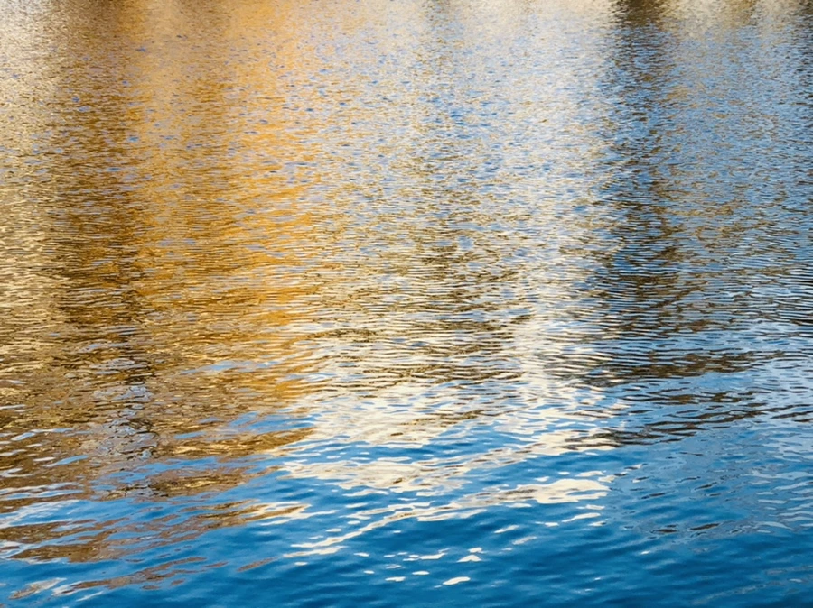 IMG_4417.jpg?type=w966