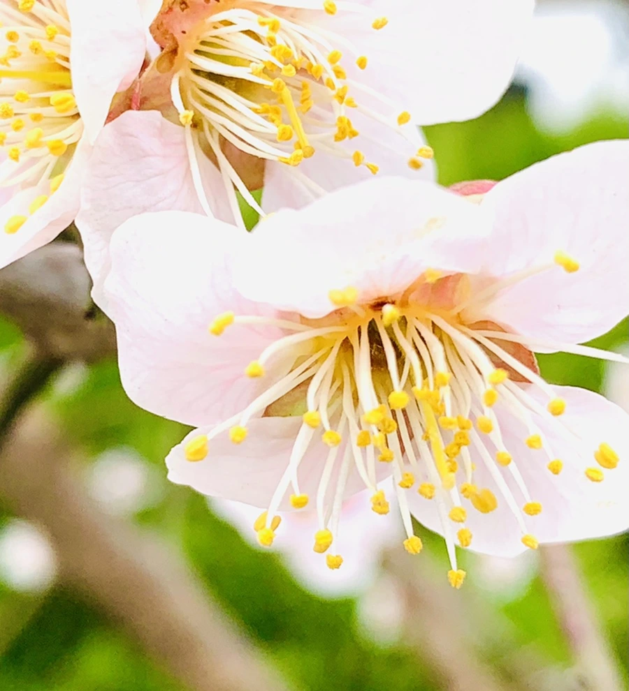 IMG_1693.jpg?type=w966