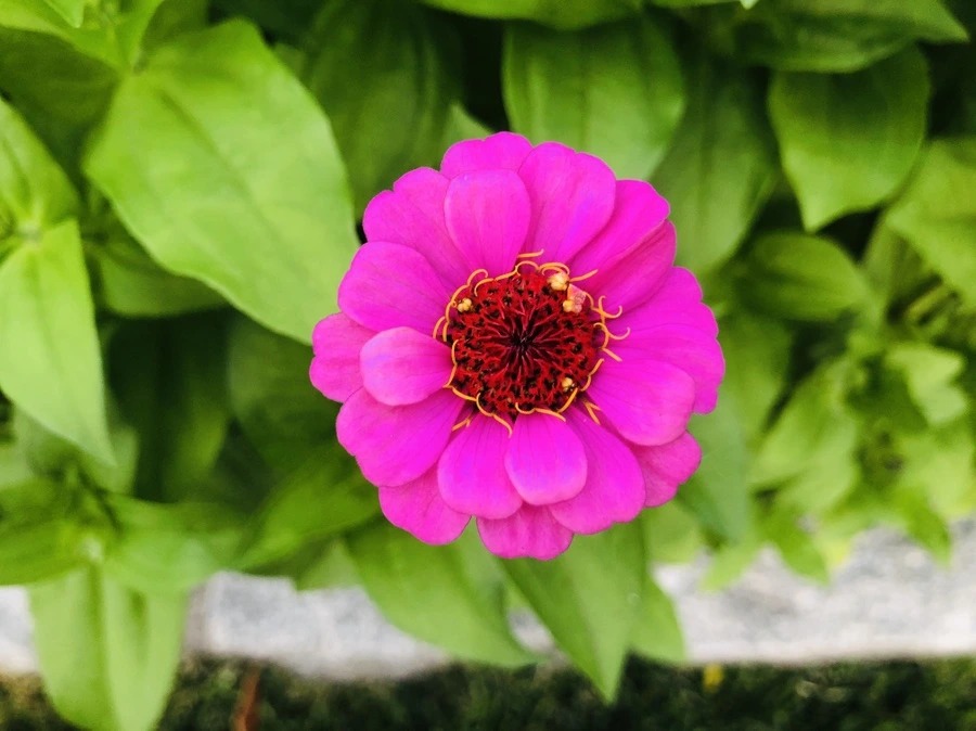 IMG_0296.jpg?type=w966