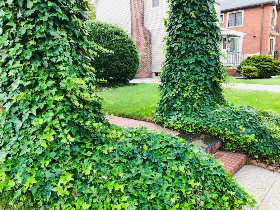 IMG_3671.jpg?type=w966