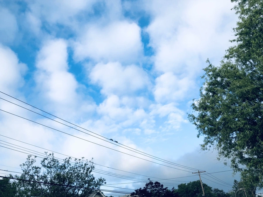 IMG_9673.jpg?type=w966