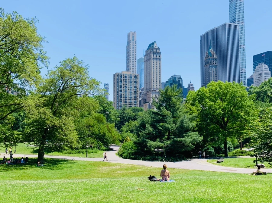 IMG_0983.jpg?type=w966