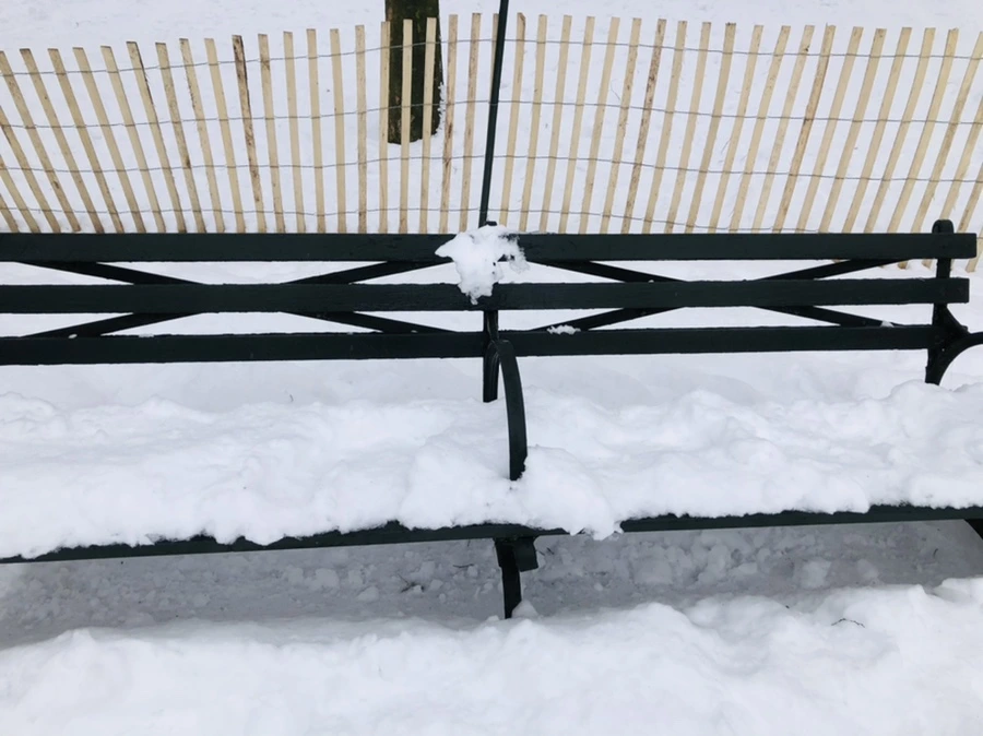 IMG_1534.jpg?type=w966