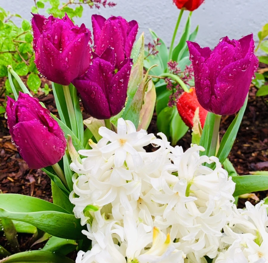 IMG_0699.jpg?type=w966