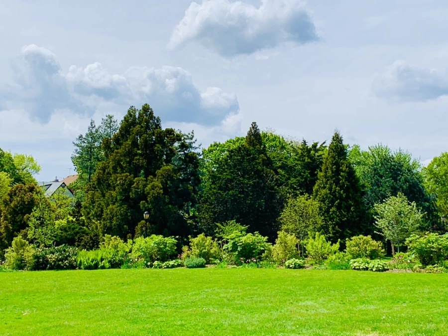 IMG_1351.jpg?type=w966