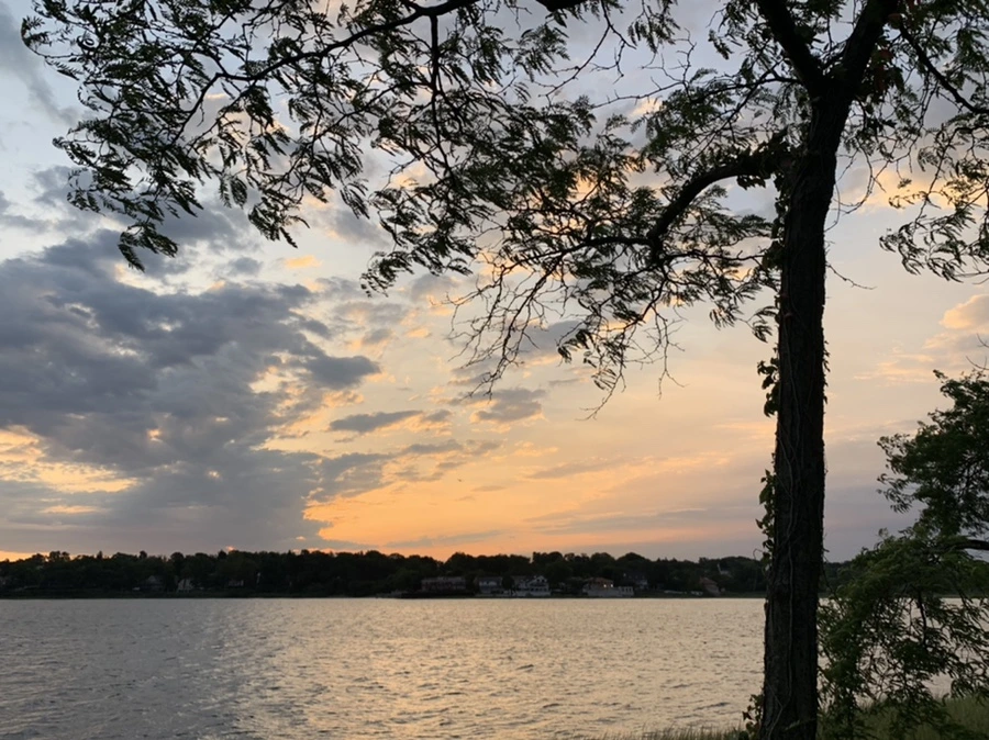 IMG_1711.jpg?type=w966