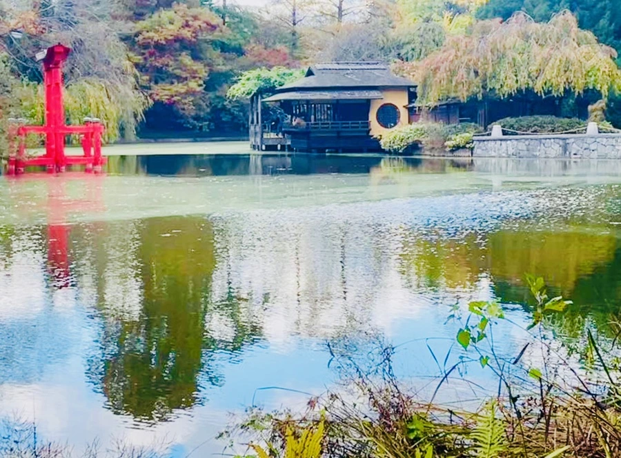 IMG_0220.jpg?type=w966