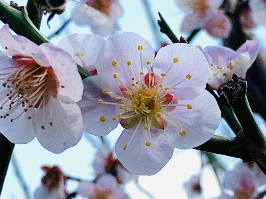 IMG_4179.jpg?type=w966