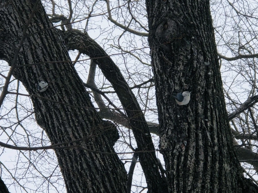 Te7XrxZeovyQTGFS0d9Inqpw6Xs