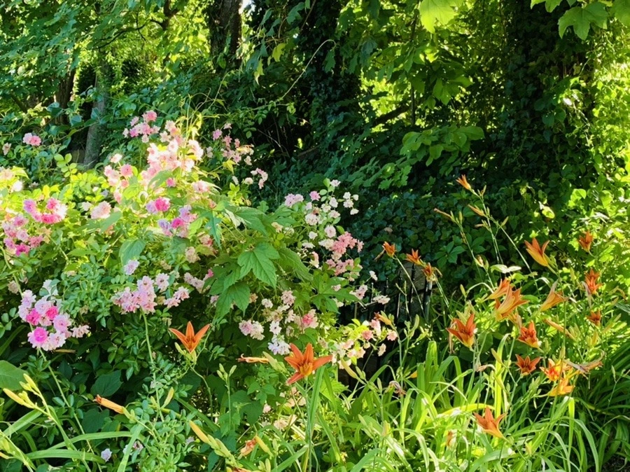 CrXkuoYxoBHSdUI69QUp8_QKCdY