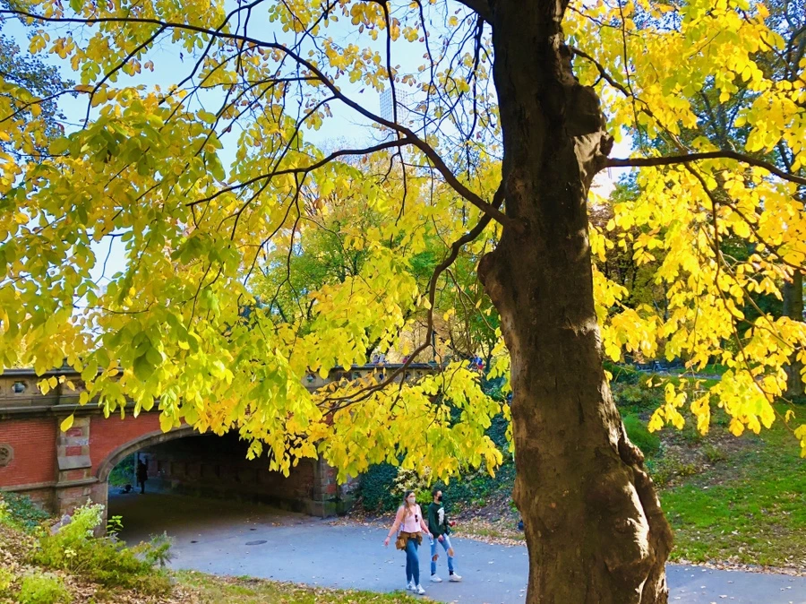 IMG_3437.jpg?type=w966