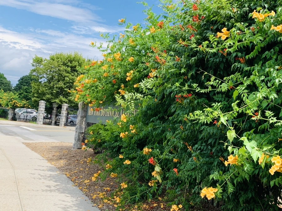 IMG_9148.jpg?type=w966