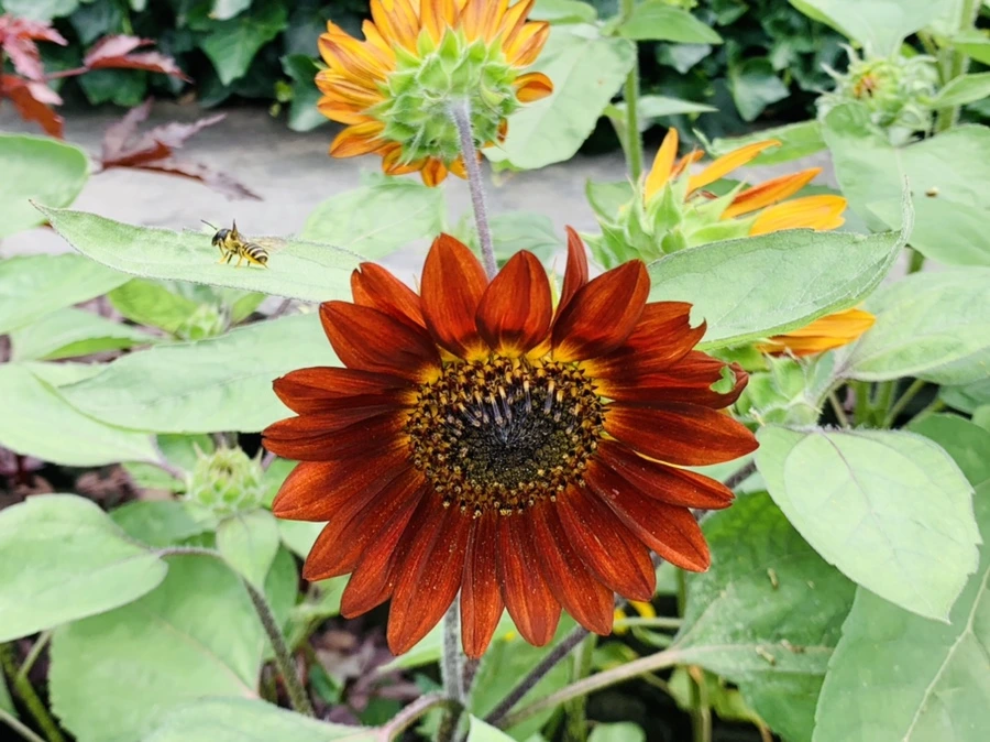 IMG_9329.jpg?type=w966