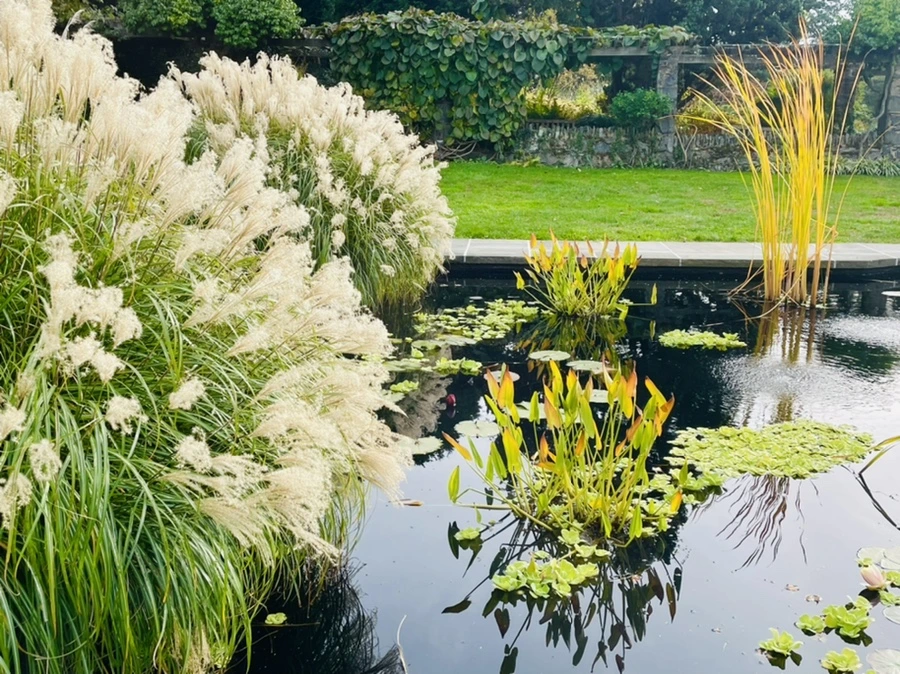 IMG_0379.jpg?type=w966