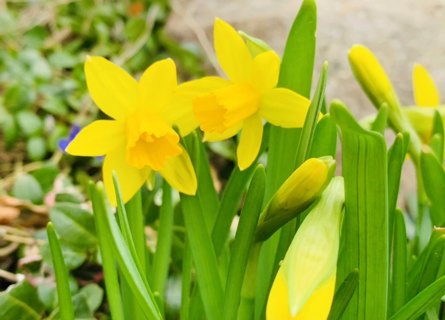 IMG_3201.jpg?type=w966