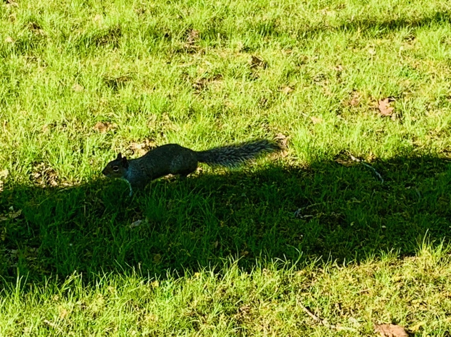 IMG_0609.jpg?type=w966