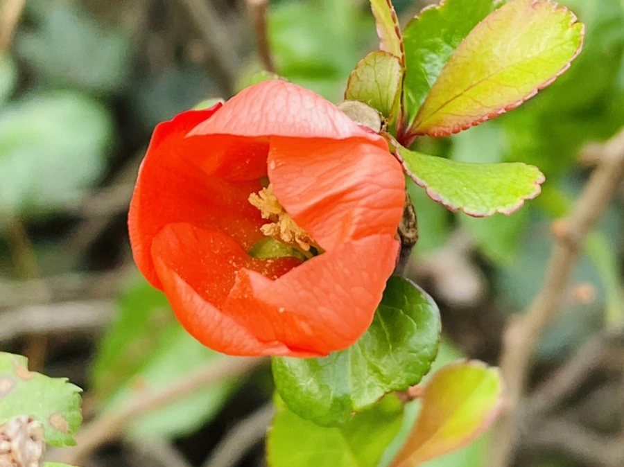 IMG_1279.jpg?type=w966