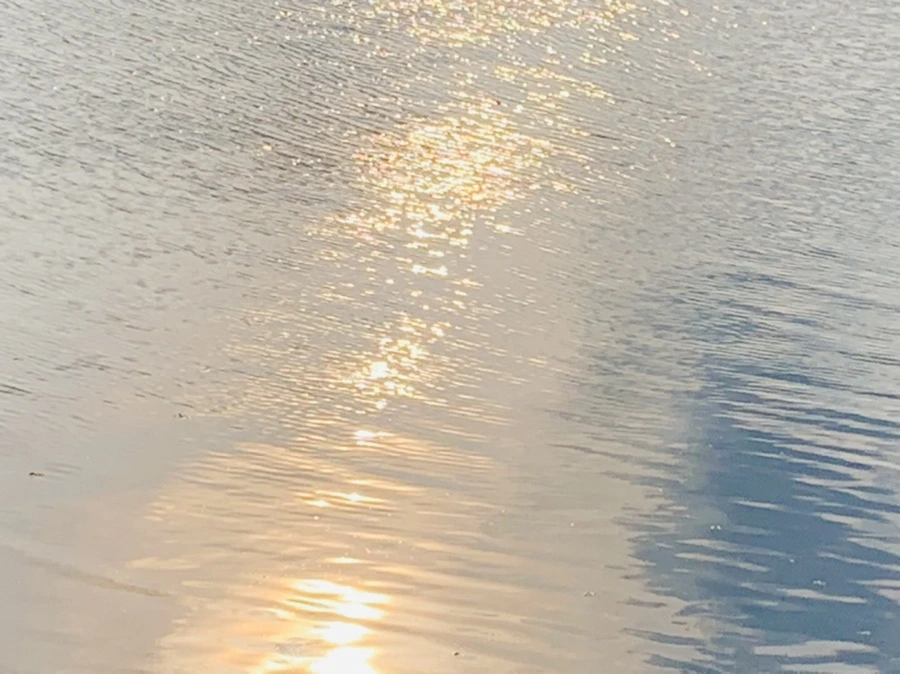 IMG_1571.jpg?type=w966