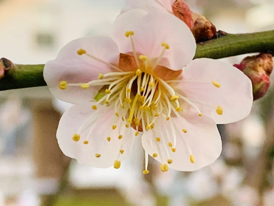 IMG_2802.jpg?type=w966