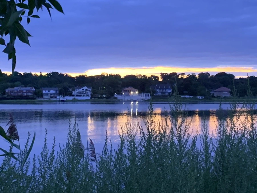 IMG_2267.jpg?type=w966