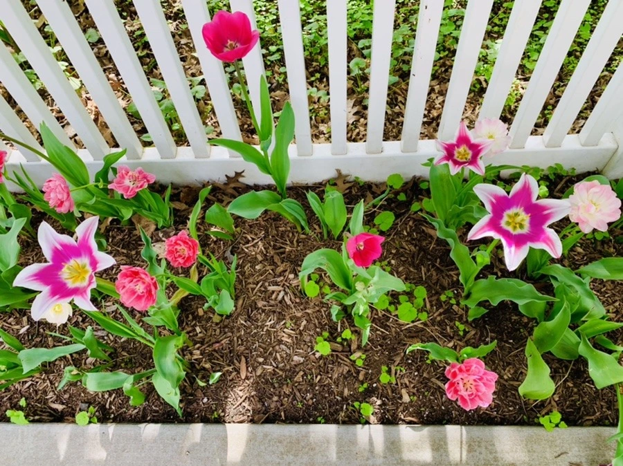 RsRvAMcvwtV2HeJGxN4JFpRGXqY