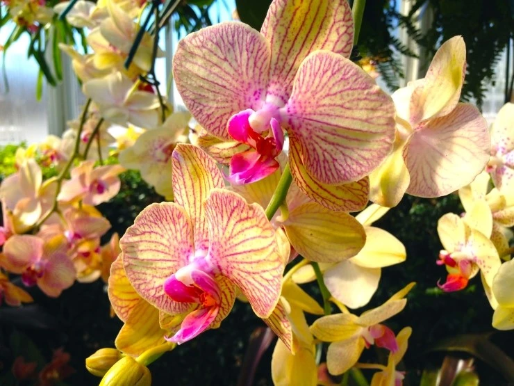 IMG_2914.JPG?type=w2