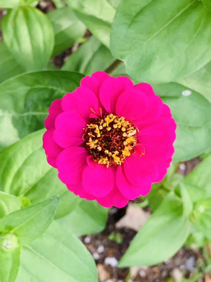 IMG_5728.jpg?type=w966