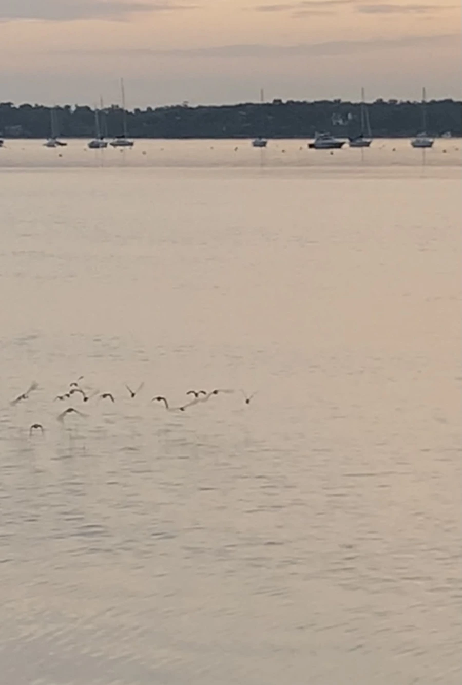 IMG_0961.jpg?type=w966